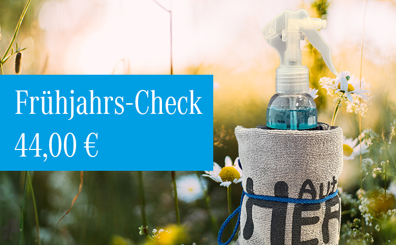 Frühjahrs-Check für 44,00 Euro im Autohaus Herten