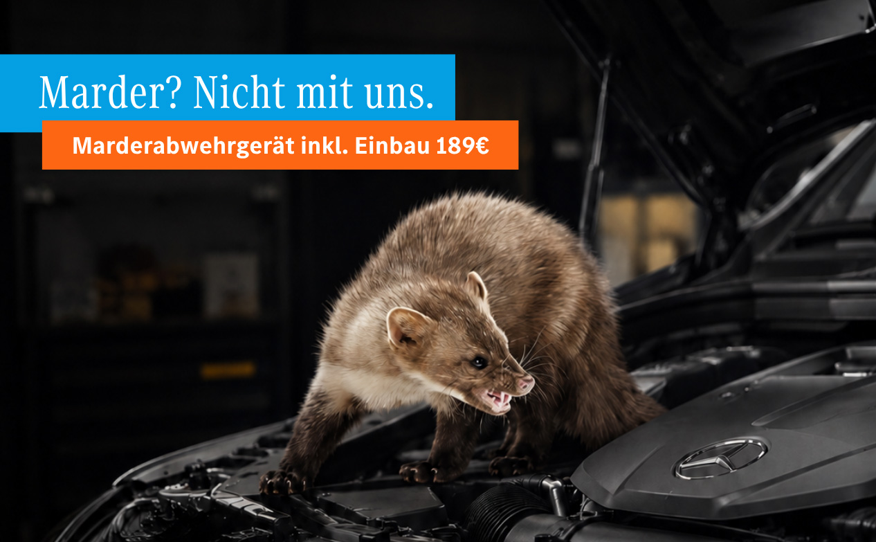 Marder auf offenem Motorraum eines Mercedes-Fahrzeugs mit Text 'Marder? Nicht mit uns.' und 'Marderabwehrgerät inkl. Einbau 189€'