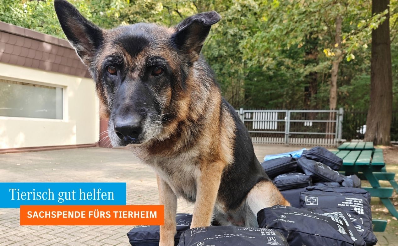 Bei unserem Besuch im Dürener Tierheim hatten wir abgelaufene Verbandkästen im Gepäck, die wir dem Tierheim als Sachspende übergeben haben.